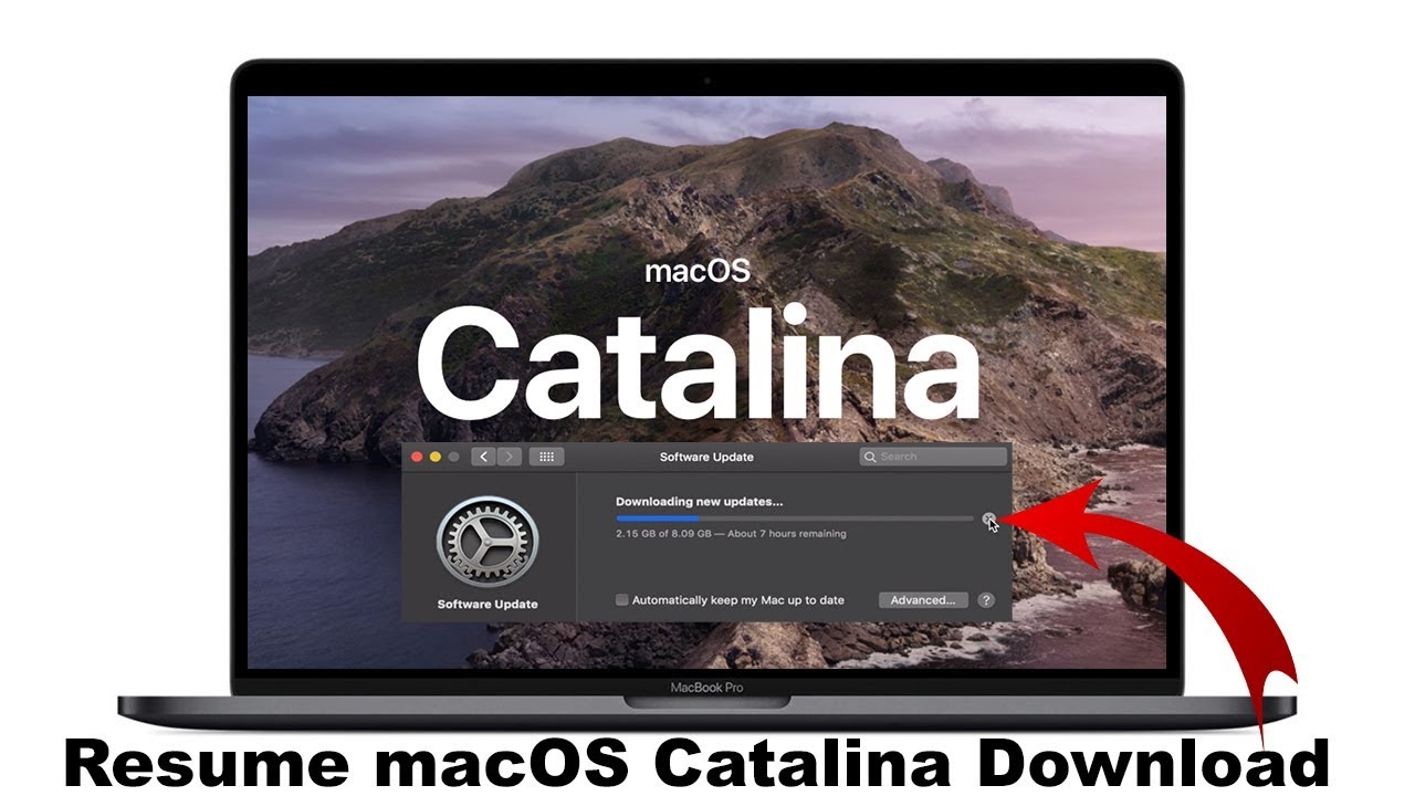 microsoft office update for mac catalina